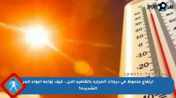 ارتفاع ملحوظ في درجات الحرارة بالقاهرة الآن.. كيف تواجه أجواء الحر الشديدة؟